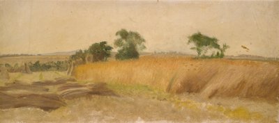 Estudio de un campo de maíz, mediados del siglo XIX de George Heming Mason