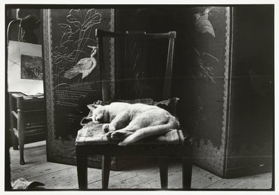 Gato en una silla en el estudio de Breitner en Amsterdam de George Hendrik Breitner