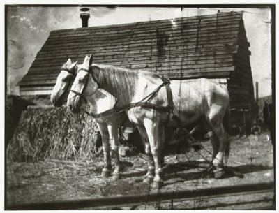 Caballos en el Cruquiusweg de George Hendrik Breitner