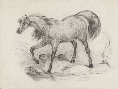 Caballo de pie, a la izquierda de George Hendrik Breitner