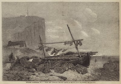 Pesquerías Británicas, No 5, Costa de Cangrejos y Langostas de George Henry Andrews