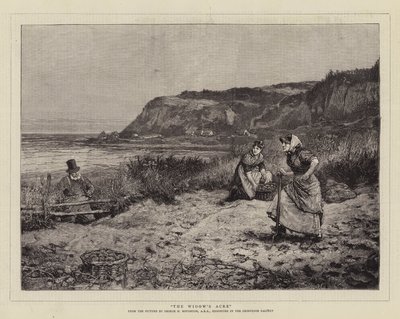 El acre de la viuda de George Henry Boughton