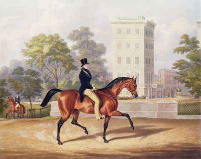 El Marqués de Anglesea a caballo en Hyde Park, en su 80º año, grabado por J. Harris, 1847 de George Henry Laporte