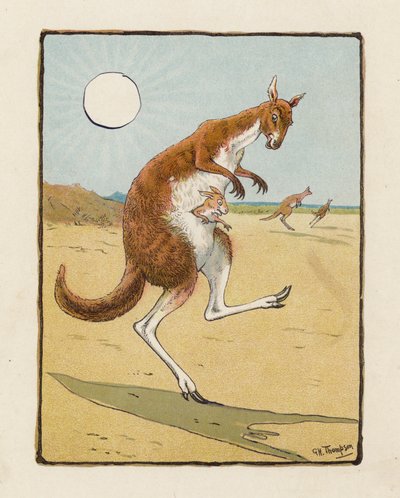 El canguro (litografía en color) de George Henry Thompson