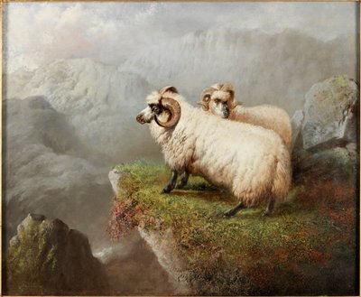Ovejas en un acantilado, c.1865-68 de George Hepper