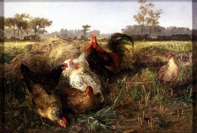 Aves en el rastrojo de George Hickin