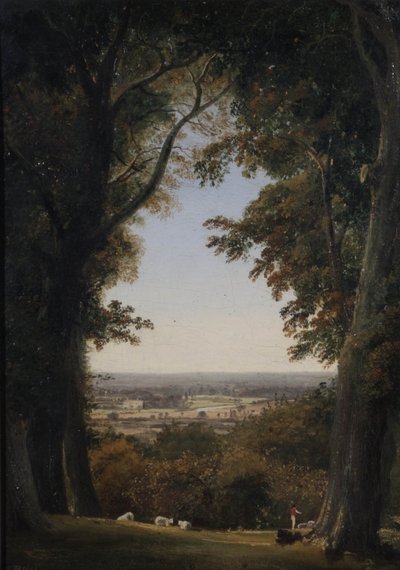 Vista distante de Twickenham, Middlesex de George Hilditch