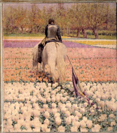 Derrotado. Un jinete abatido cruza un campo de tulipanes después de la derrota de George Hitchcock