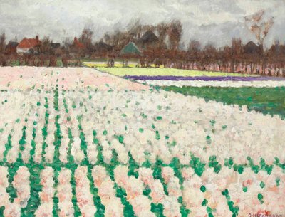 Campos de jacintos de George Hitchcock