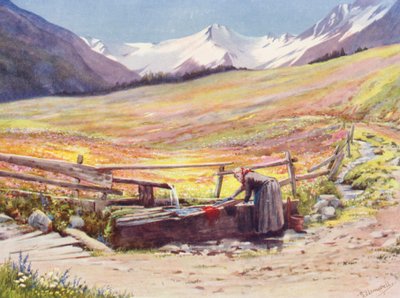 Campos a principios de junio más allá de Praz de Fort en el Val Ferret, respaldados por el Groupe du Grand Saint-Bernard et du Grand Golliaz (litografía en color). de George Jackson Flemwell