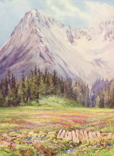 Gentiana verna y Primula farinosa en los campos bajos de Champex hacia finales de mayo, con parte del macizo de Saleinaz al fondo (litografía en color). de George Jackson Flemwell