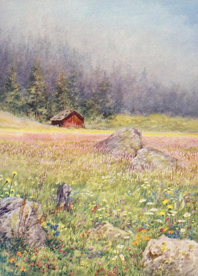 En los campos de Champex a principios de julio (litografía en color) de George Jackson Flemwell