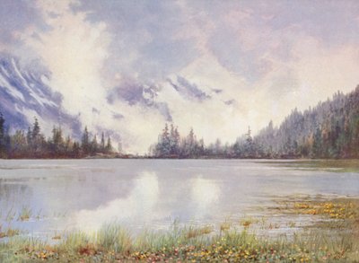 Lago de Champex en una zona nubosa a finales de mayo; Caltha palustris y Primula farinosa en la orilla (litografía en color). de George Jackson Flemwell