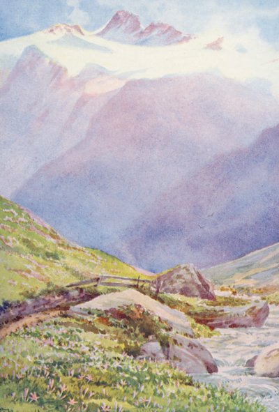 El azafrán de otoño en los campos cerca del pueblo de Trient, con la Aiguille du Tour al fondo, septiembre (litografía en color) de George Jackson Flemwell