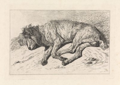 perro durmiendo Bello (título sobre objeto) de George Jooss