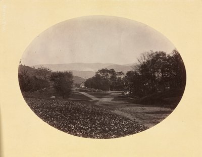 Un camino en Williamstown de George Kendall Warren