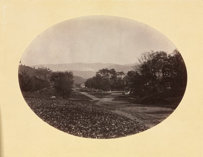 Un camino en Williamstown de George Kendall Warren