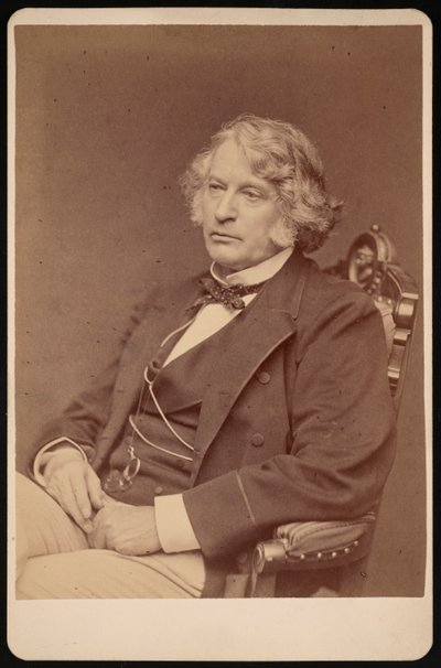 Retrato de Charles Sumner 1811-1874 de George K Warren