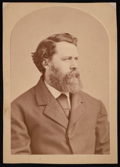 Retrato de Oliver Wolcott Gibbs 1822-1908, entre 1870 y 1873 de George K Warren