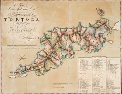 Plano de Tórtola según el estudio de George King de George King