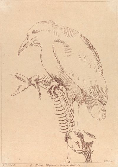 Sin título: Pájaro sosteniendo el esqueleto de un pez de George Knapton