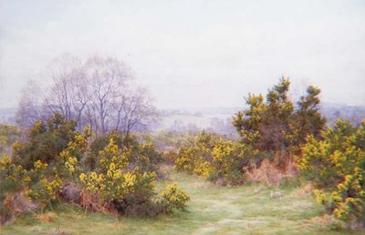 Un común de Surrey de George Marks