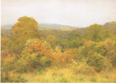 El jardín de la naturaleza de George Marks