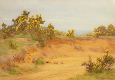 La madriguera de conejos, Shere, Surrey de George Marks