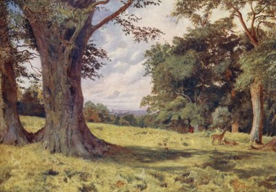 A Glade in Windsor Great Park (litografía en color) de George Moore Henton