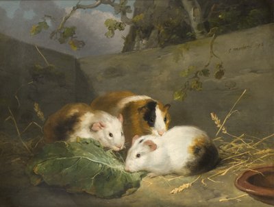 Cobayas de George Morland