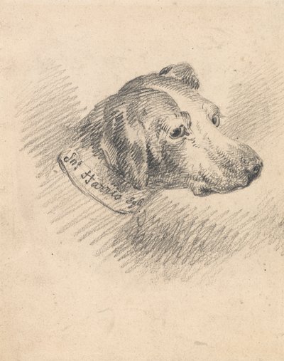 Cabeza de sabueso de George Morland