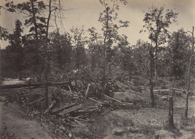 Campo de Batalla de Atlanta, Georgia, 22 de julio de 1864 No. 1, 1860s de George N. Barnard