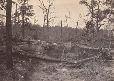 Campo de batalla de la iglesia de New Hope, GA, nº 2 de George N. Barnard