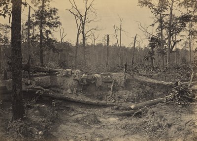 Campo de batalla de la iglesia de New Hope, Georgia, n.º 2 de George N. Barnard