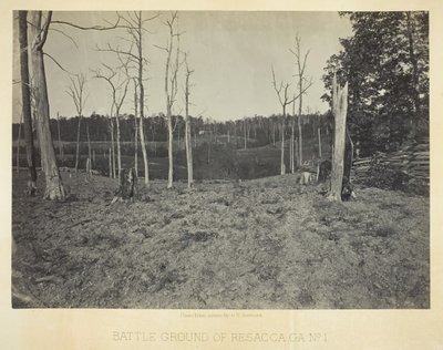 Campo de Batalla de Resacca, GA, No. 1, 1866 de George N. Barnard