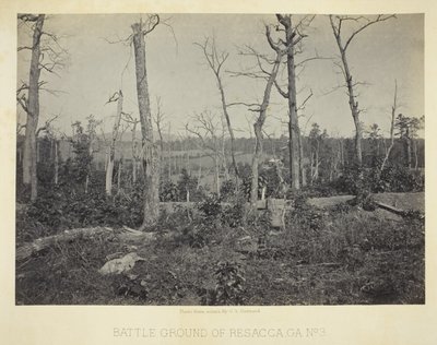 Campo de batalla de Resacca, GA, nº 3 de George N. Barnard