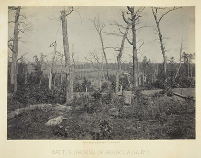 Campo de batalla de Resacca, GA, No. 3, 1866 de George N. Barnard