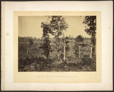 Campo de batalla de Resacca, Ga. No. 2 de George N. Barnard