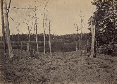 Campo de batalla de Resacca, Georgia, n.º 1 de George N. Barnard