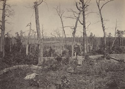 Campo de batalla de Resacca, Georgia No. 3, 1860s de George N. Barnard