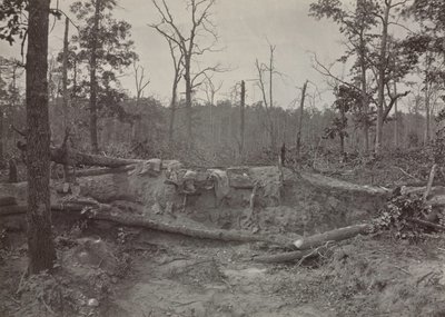 Campo de batalla de New Hope Church, Georgia, No. 2, 1865-1866 de George N. Barnard