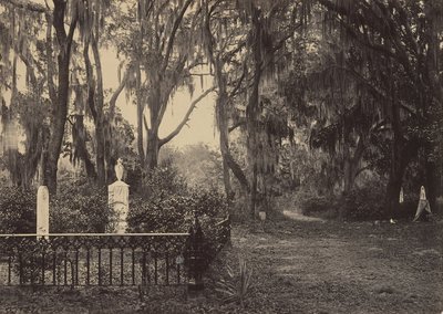 Buen-Ventura, Savannah, Georgia, 1860s de George N. Barnard