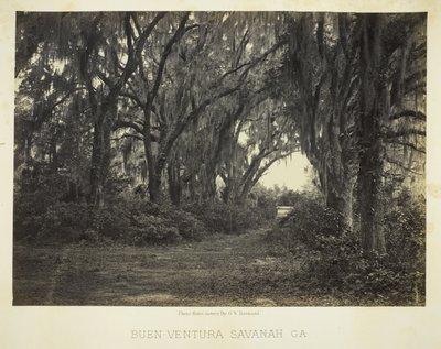 Buen-Ventura Savannah, Ga. de George N. Barnard