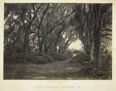 Buenaventura, Savannah, Ga., 1866 de George N. Barnard