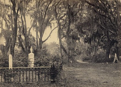  de George N. Barnard