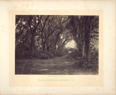  de George N. Barnard