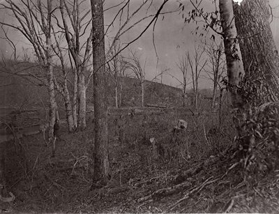 Bull Run, Virginia, 1861-62 de George N. Barnard