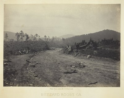 Buzzard Roost, GA de George N. Barnard