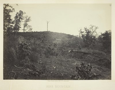 Pinar de George N. Barnard