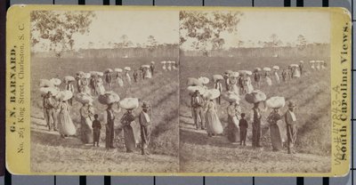Regresando de los campos de algodón en Carolina del Sur de George N. Barnard